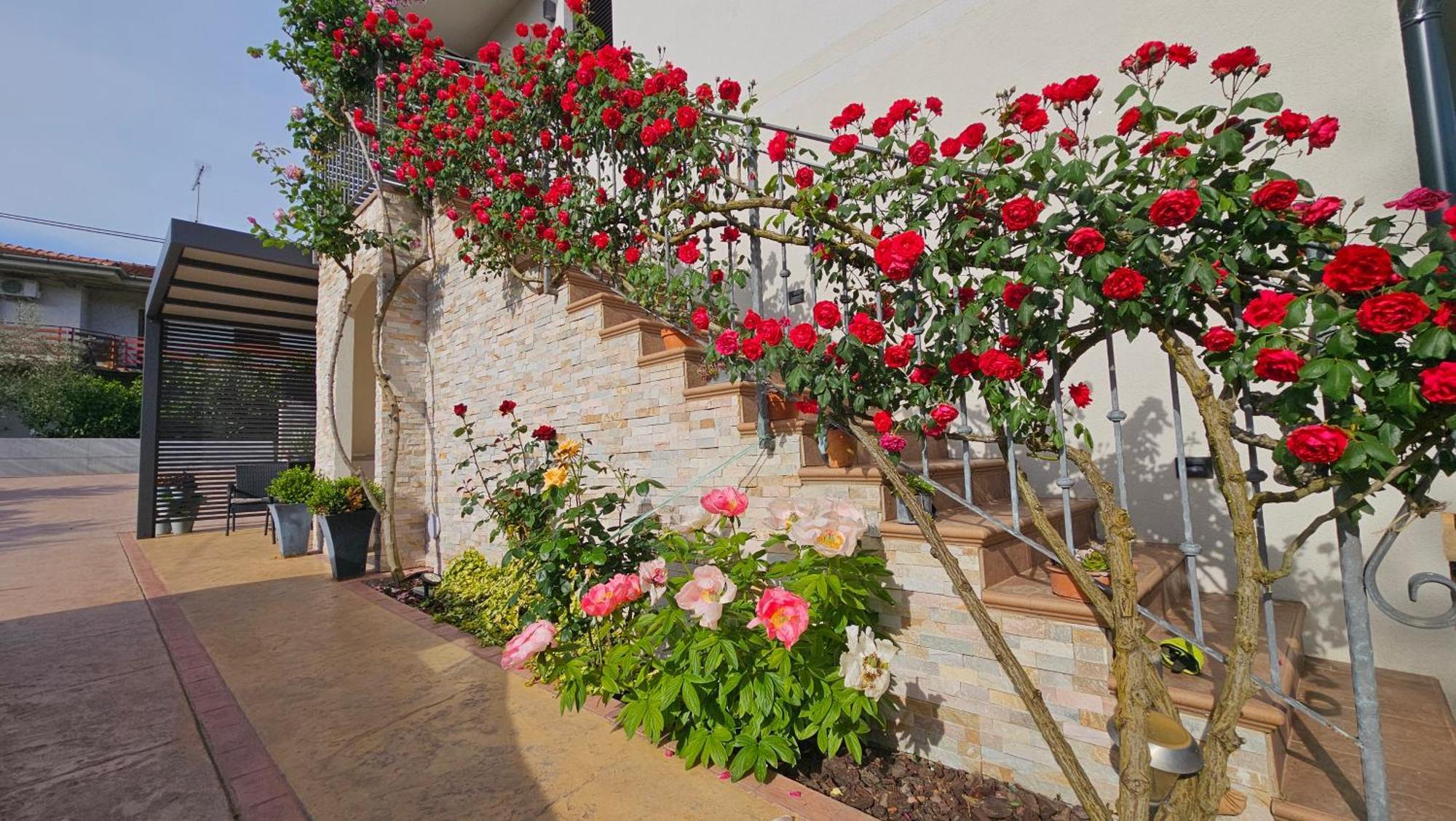 New Istrian Experience By Istrian Apartments Koper Exterior foto